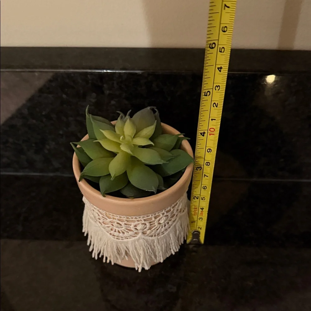 Two fake succulent plants in pots home or dorm decor